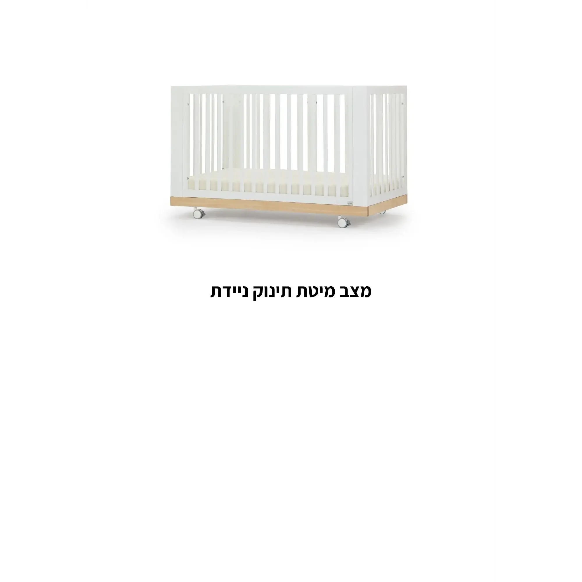 תמונת מוצר 18